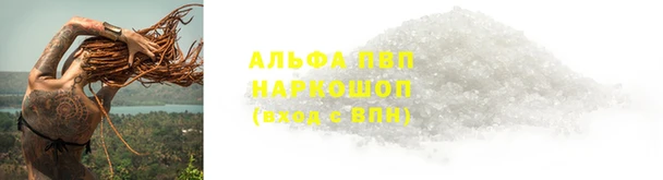 гашик Нея