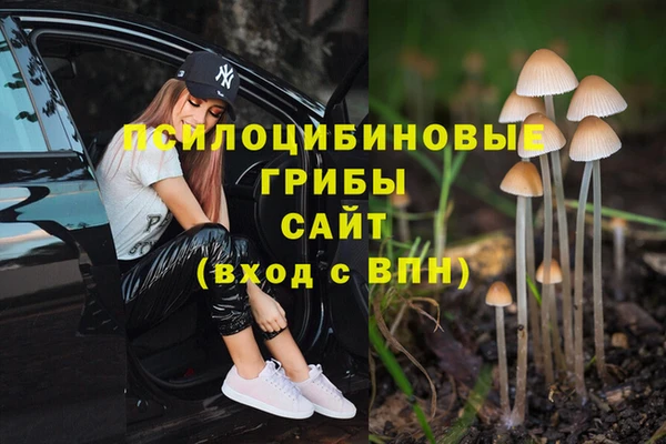 метамфетамин Алексеевка