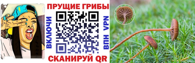 Галлюциногенные грибы мухоморы  закладка  Углич 